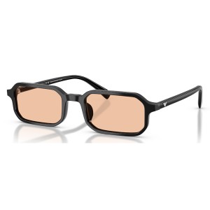 Emporio Armani 0EA4253U 501793 54