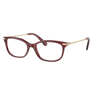 Swarovski 0SK2017 1055 54